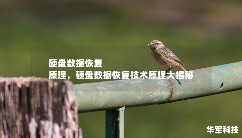 硬盤數據恢復 原理，硬盤數據恢復技術原理大揭秘
