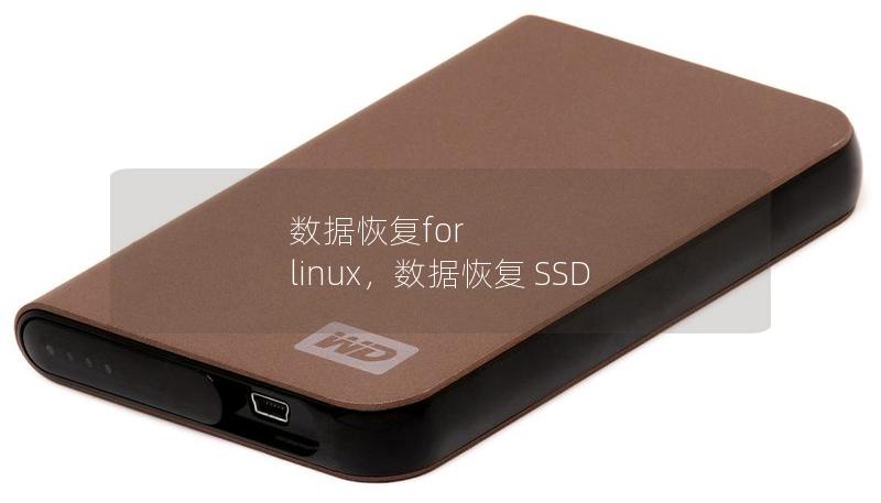 數據恢復for linux，數據恢復 SSD