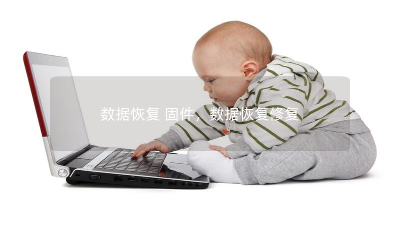 數(shù)據(jù)恢復(fù) 固件，數(shù)據(jù)恢復(fù)修復(fù)