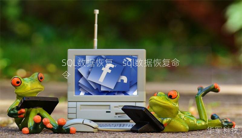 SQL數(shù)據(jù)恢復(fù)，sql數(shù)據(jù)恢復(fù)命令