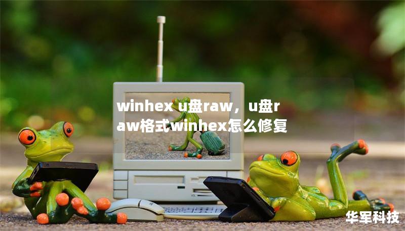 winhex u盤raw，u盤raw格式winhex怎么修復(fù)
