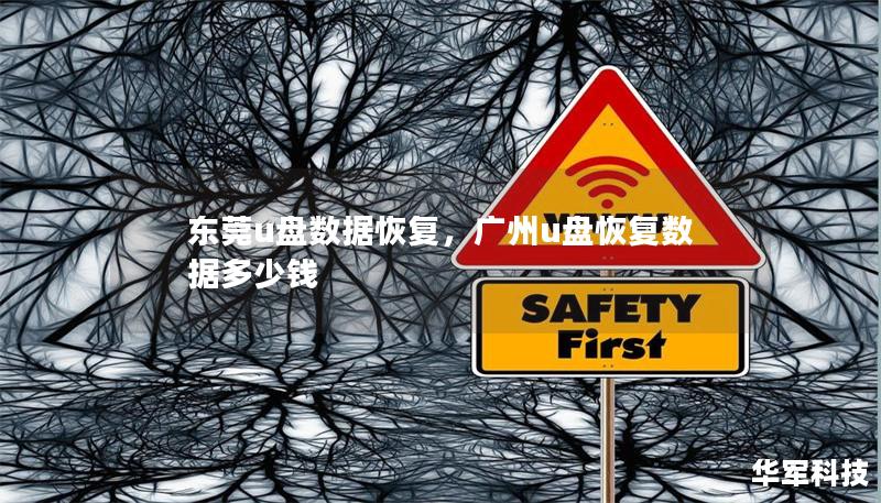 東莞u盤數(shù)據(jù)恢復，廣州u盤恢復數(shù)據(jù)多少錢