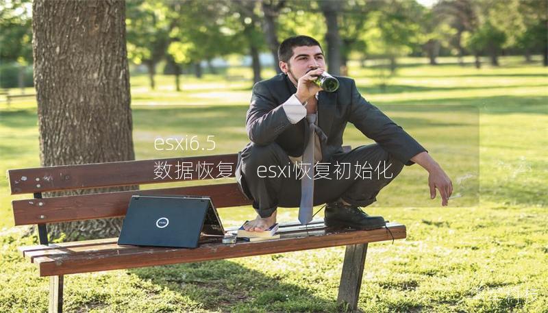 esxi6.5 數(shù)據(jù)恢復，esxi恢復初始化