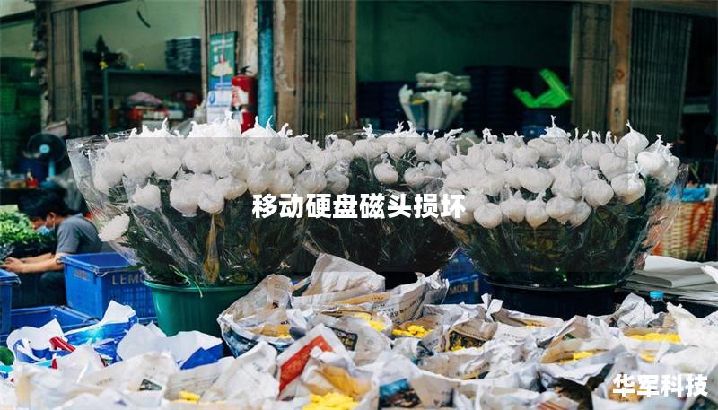 移動(dòng)硬盤磁頭損壞