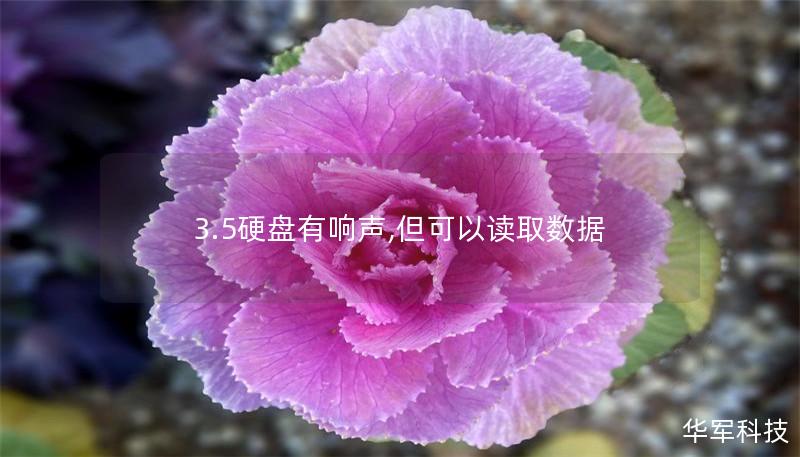 3.5硬盤有響聲,但可以讀取數據