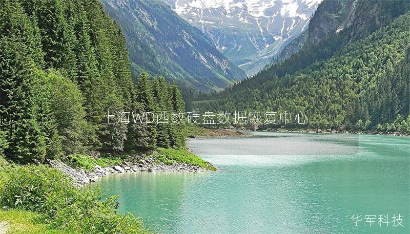 上海WD西數(shù)硬盤數(shù)據(jù)恢復中心