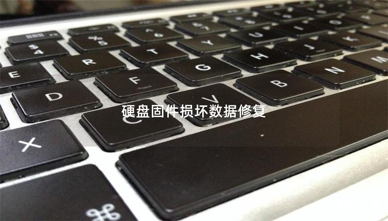 硬盤(pán)固件損壞數(shù)據(jù)修復(fù)
