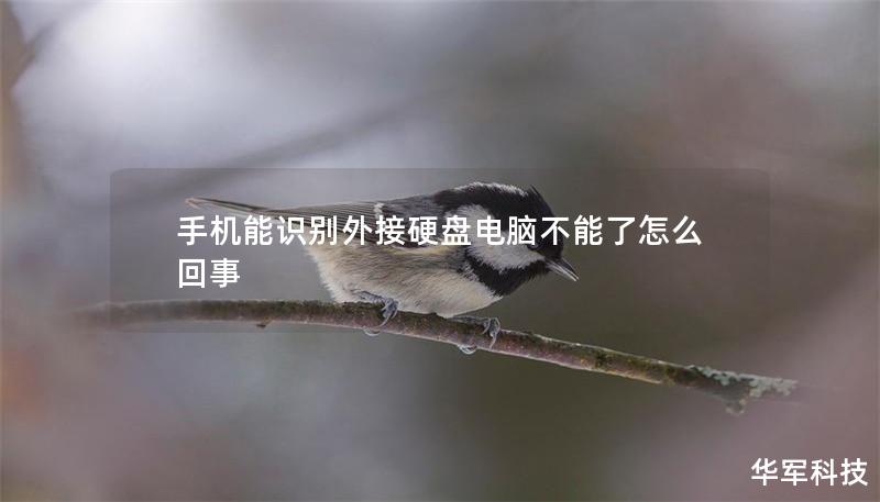 手機(jī)能識別外接硬盤電腦不能了怎么回事
