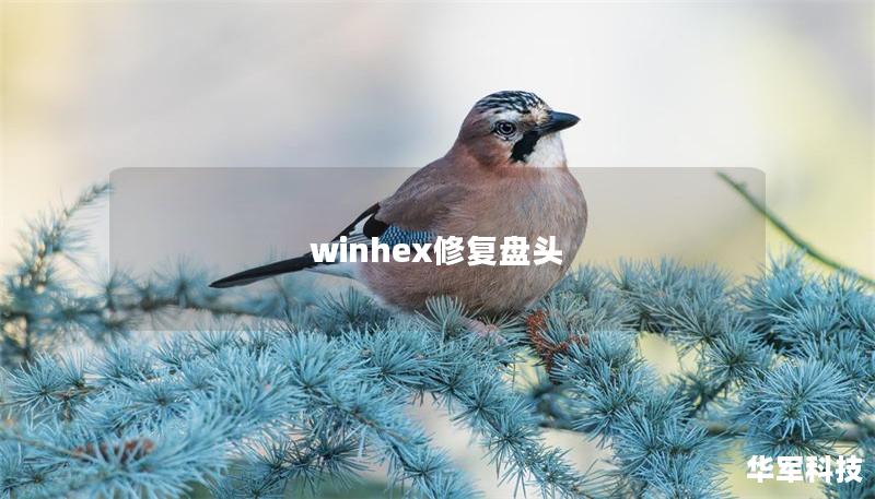 winhex修復(fù)盤頭