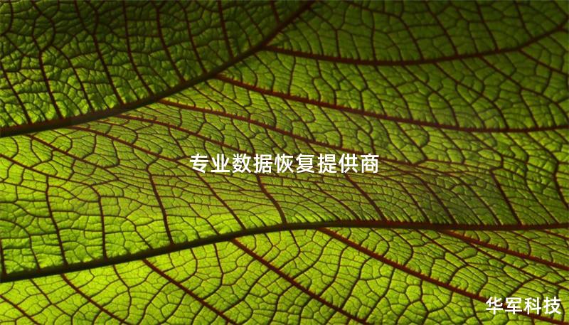 專(zhuān)業(yè)數(shù)據(jù)恢復(fù)提供商