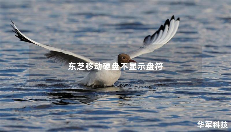 東芝移動硬盤不顯示盤符