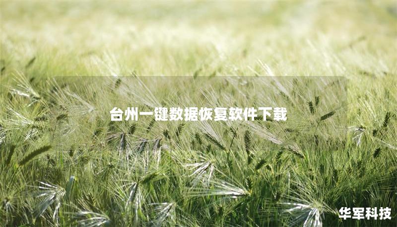 臺州一鍵數(shù)據(jù)恢復(fù)軟件下載