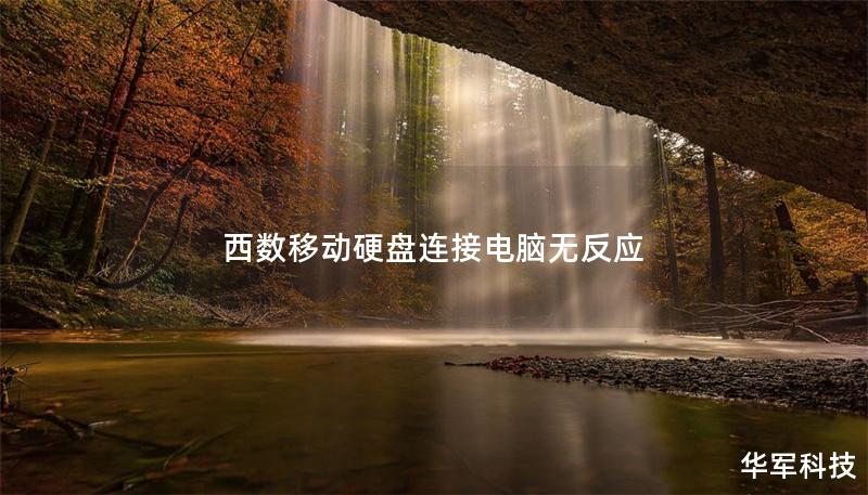 西數移動硬盤連接電腦無反應