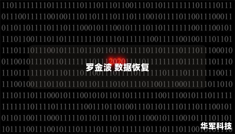 羅金波 數據恢復