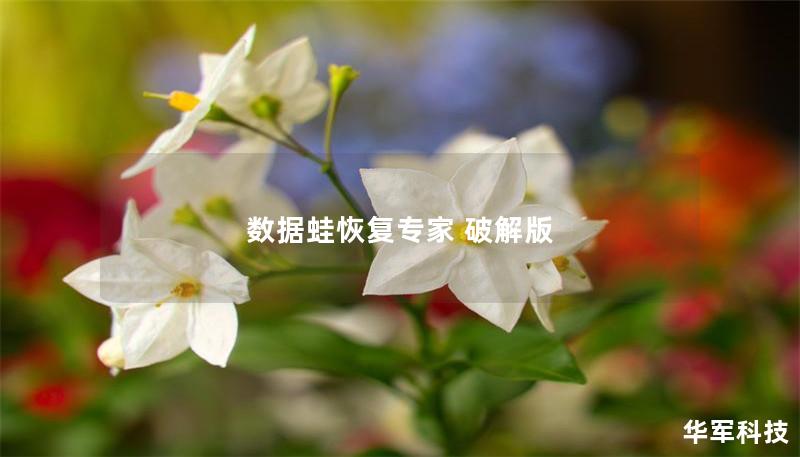 數據蛙恢復專家 破解版