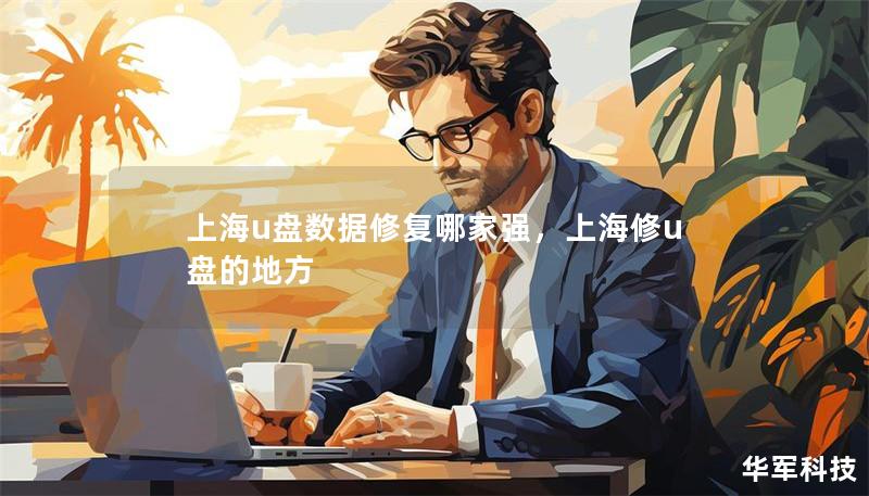上海u盤數(shù)據(jù)修復(fù)哪家強(qiáng)，上海修u盤的地方