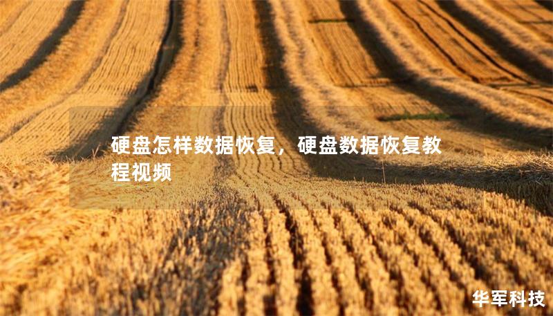 硬盤(pán)怎樣數(shù)據(jù)恢復(fù)，硬盤(pán)數(shù)據(jù)恢復(fù)教程視頻