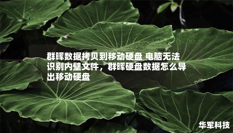 群暉數據拷貝到移動硬盤 電腦無法識別內壁文件，群暉硬盤數據怎么導出移動硬盤