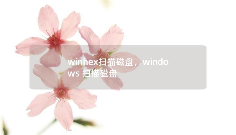 winhex掃描磁盤，windows 掃描磁盤
