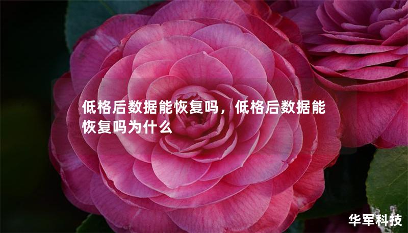 低格后數(shù)據(jù)能恢復(fù)嗎，低格后數(shù)據(jù)能恢復(fù)嗎為什么