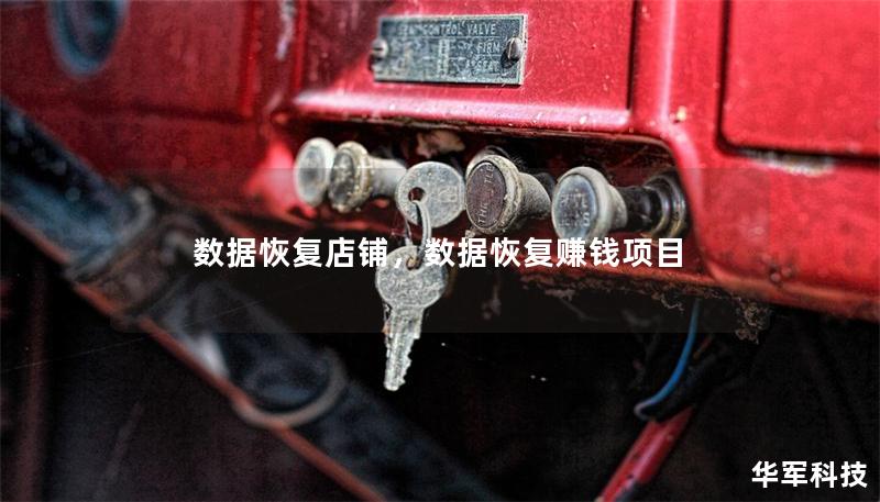 數(shù)據(jù)恢復(fù)店鋪，數(shù)據(jù)恢復(fù)賺錢項目