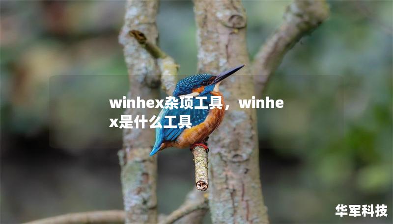 winhex雜項(xiàng)工具，winhex是什么工具