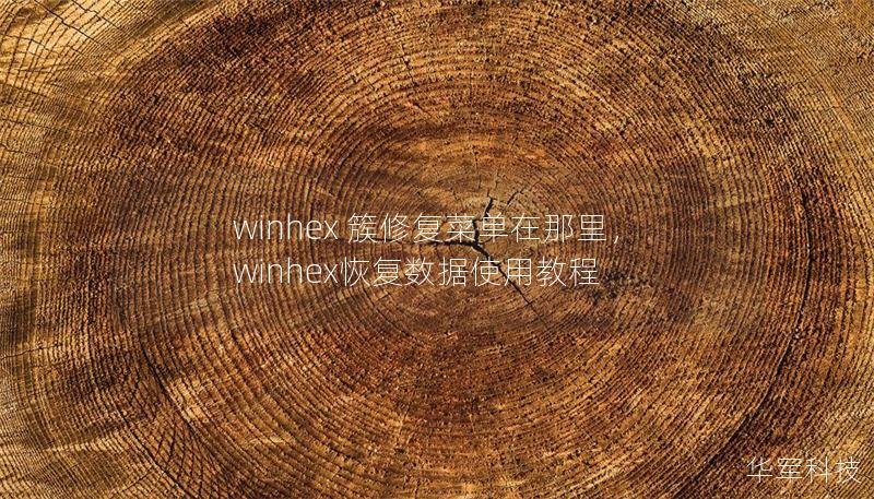 winhex 簇修復(fù)菜單在那里，winhex恢復(fù)數(shù)據(jù)使用教程
