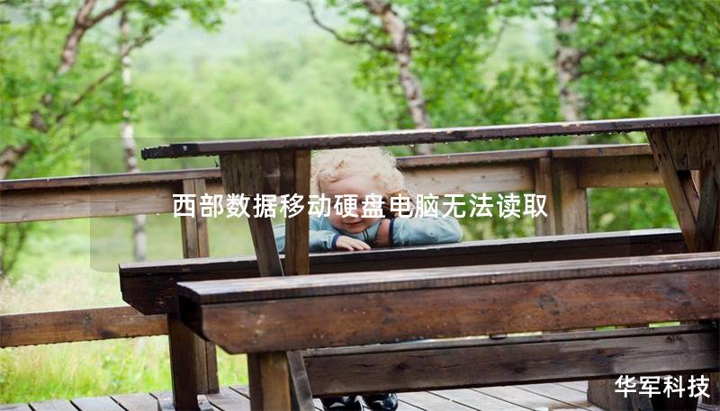 西部數(shù)據(jù)移動(dòng)硬盤電腦無(wú)法讀取