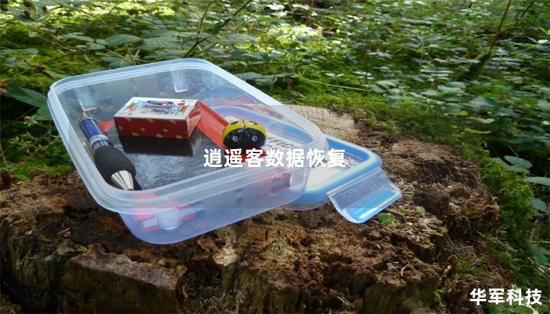 逍遙客數(shù)據(jù)恢復