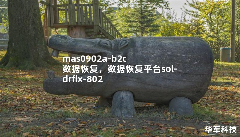 mas0902a-b2c 數(shù)據(jù)恢復(fù)，數(shù)據(jù)恢復(fù)平臺(tái)sol-drfix-802