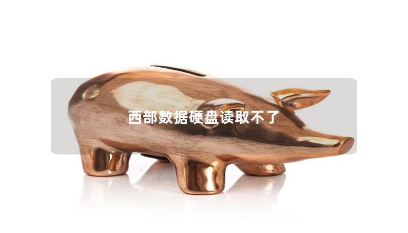西部數(shù)據(jù)硬盤讀取不了