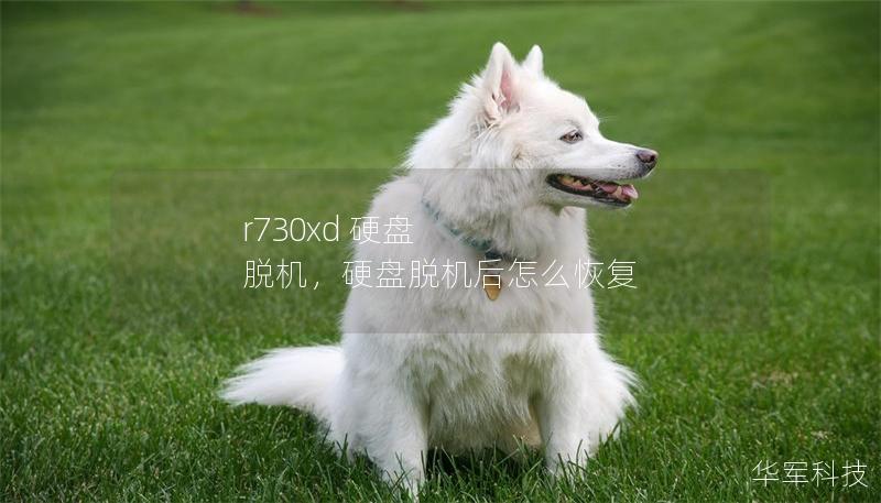 r730xd 硬盤 脫機，硬盤脫機后怎么恢復(fù)