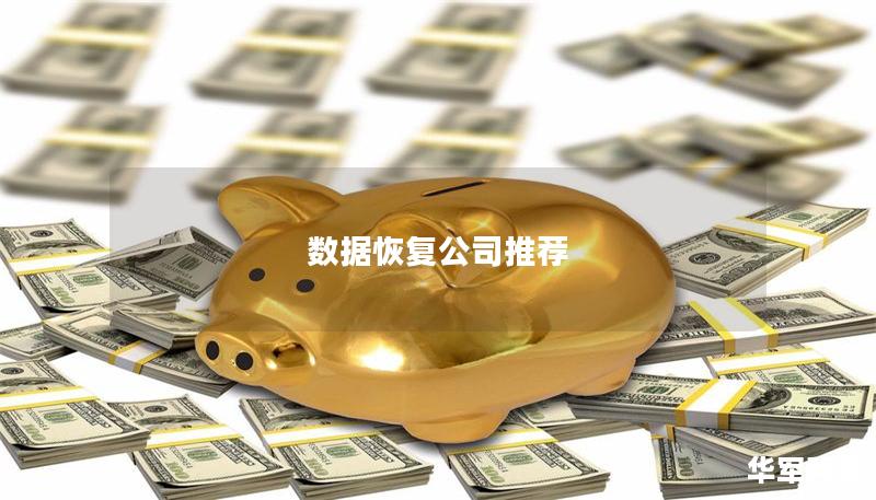 數(shù)據(jù)恢復(fù)公司推薦