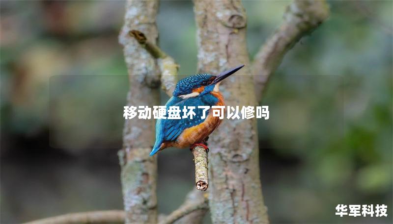 移動(dòng)硬盤壞了可以修嗎