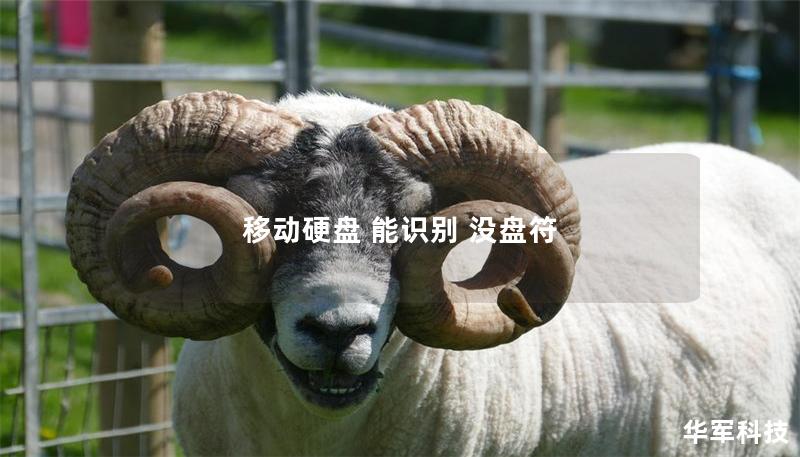 移動(dòng)硬盤 能識(shí)別 沒盤符