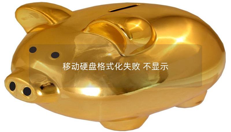 移動(dòng)硬盤格式化失敗 不顯示