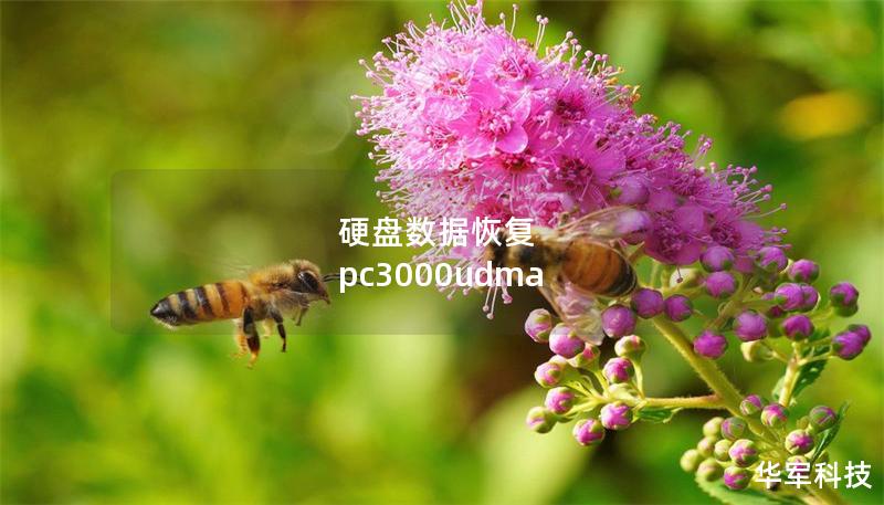 硬盤(pán)數(shù)據(jù)恢復(fù) pc3000udma