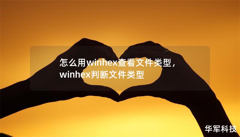怎么用winhex查看文件類(lèi)型，winhex判斷文件類(lèi)型