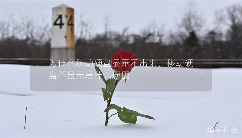 為什么移動硬盤顯示不出來，移動硬盤不顯示是什么原因