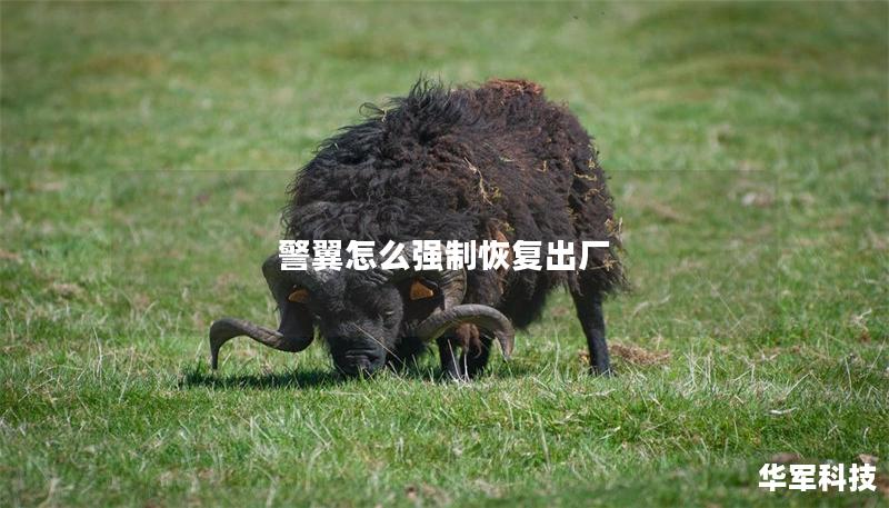 警翼怎么強(qiáng)制恢復(fù)出廠