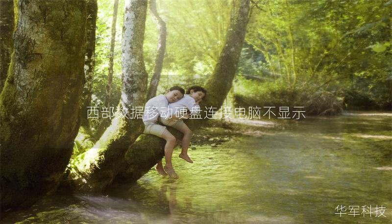 西部數(shù)據(jù)移動硬盤連接電腦不顯示