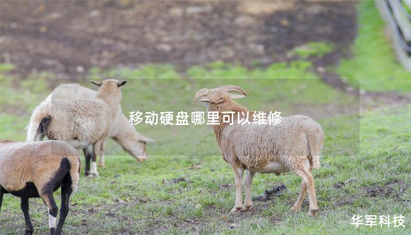 移動硬盤哪里可以維修