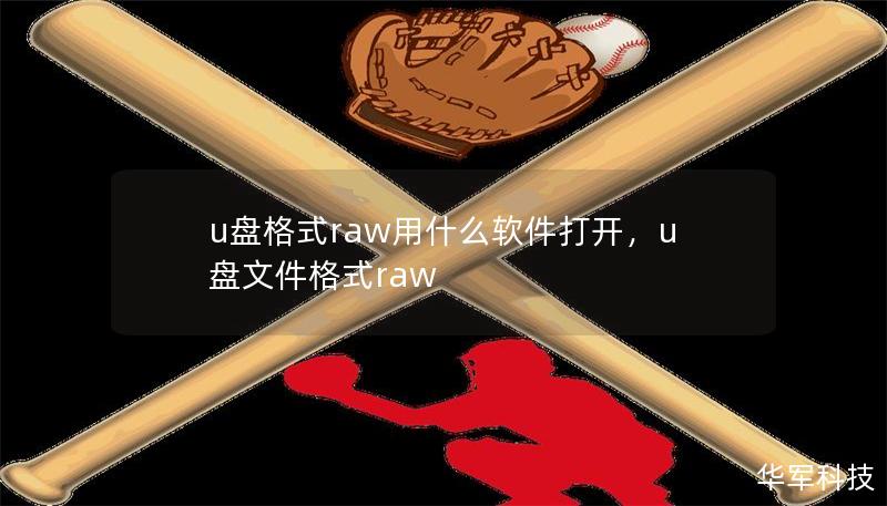 u盤格式raw用什么軟件打開，u盤文件格式raw