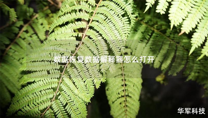 數(shù)據(jù)恢復(fù)數(shù)據(jù)解釋器怎么打開(kāi)