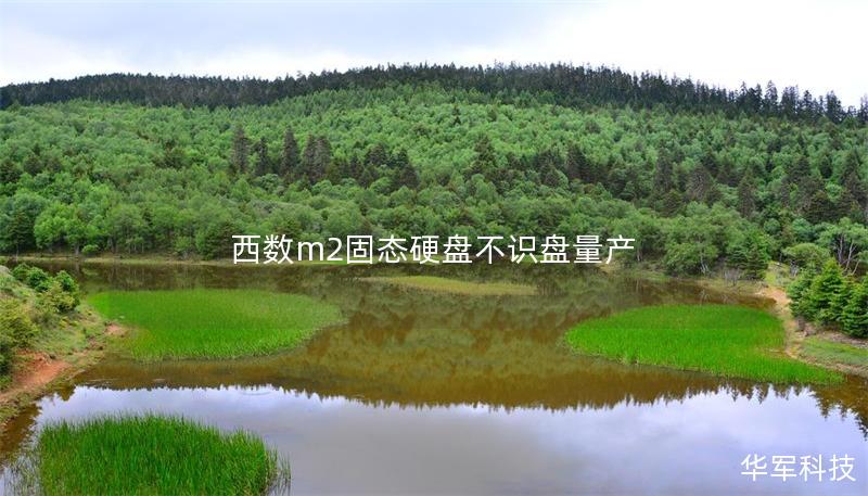西數(shù)m2固態(tài)硬盤不識盤量產(chǎn)