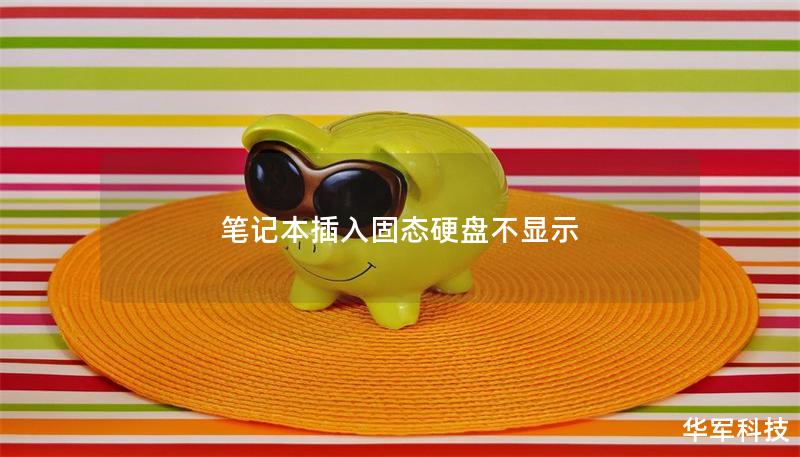 筆記本插入固態(tài)硬盤(pán)不顯示