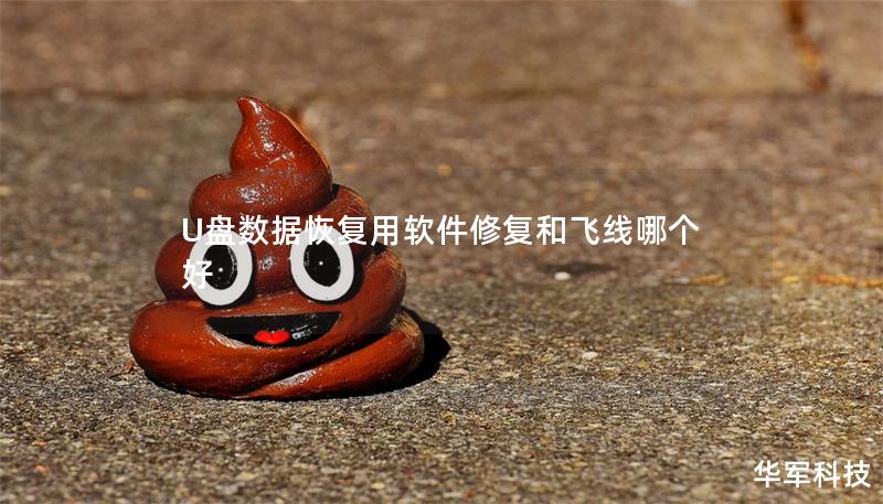 U盤數(shù)據(jù)恢復(fù)用軟件修復(fù)和飛線哪個好