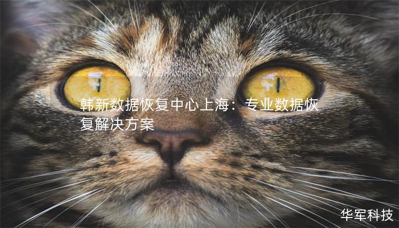 韓新數(shù)據(jù)恢復(fù)中心上海：專業(yè)數(shù)據(jù)恢復(fù)解決方案