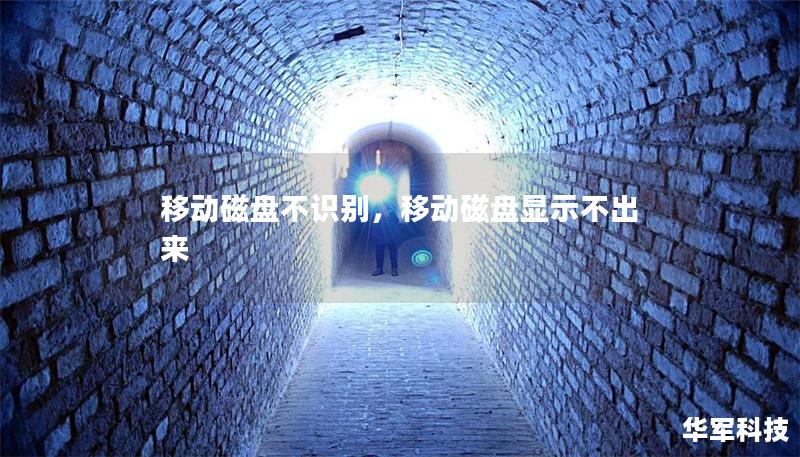 移動磁盤不識別，移動磁盤顯示不出來