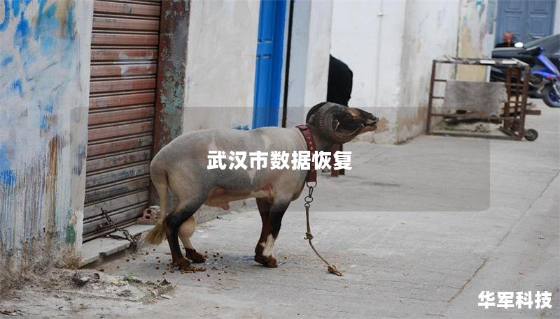武漢市數(shù)據(jù)恢復(fù)